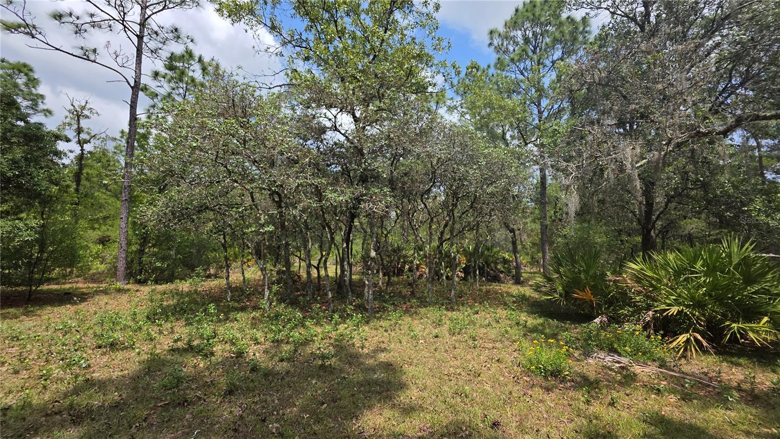 5719 Stockholm Lane, FL