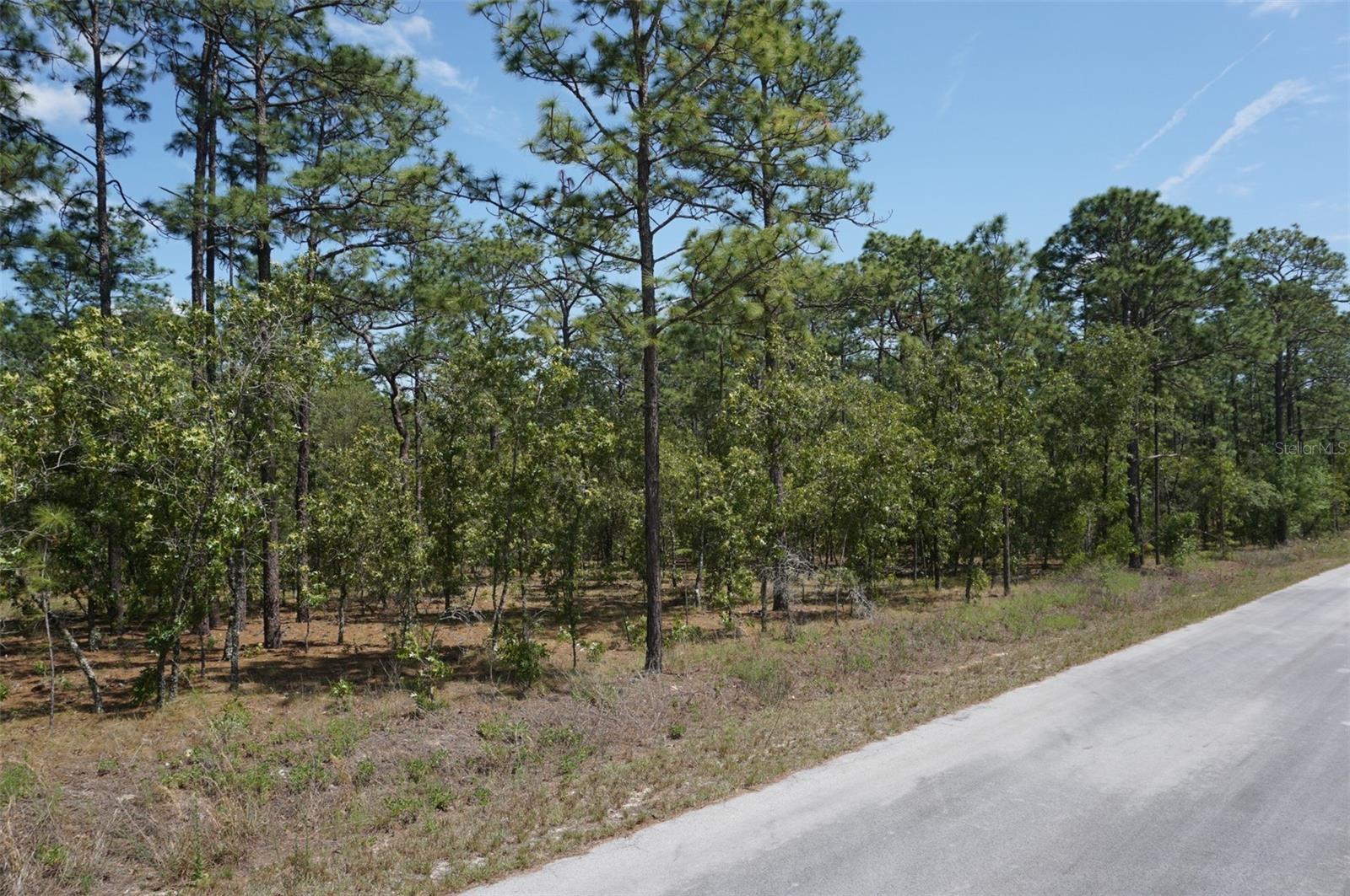 Tbd Nw Tree Top Rd, FL