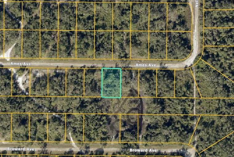 Lot #45 Ames Ave, FL