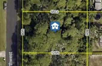441 Ixora Ave Nw, FL