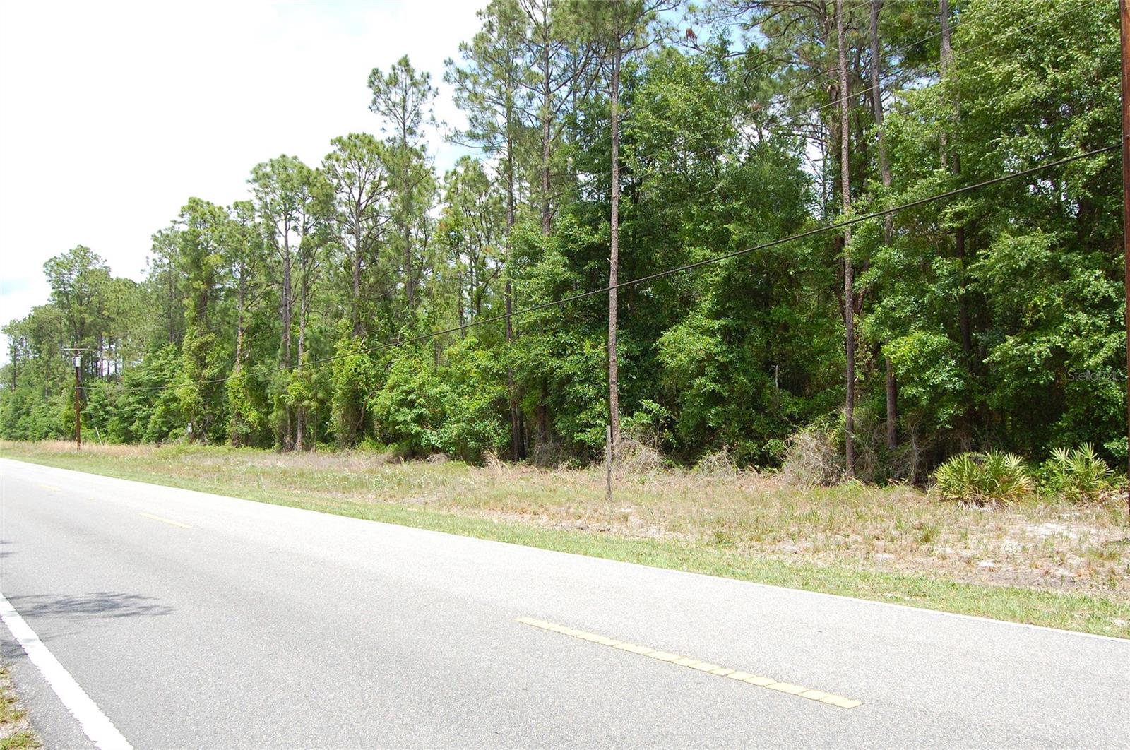 859 W River Rd, FL