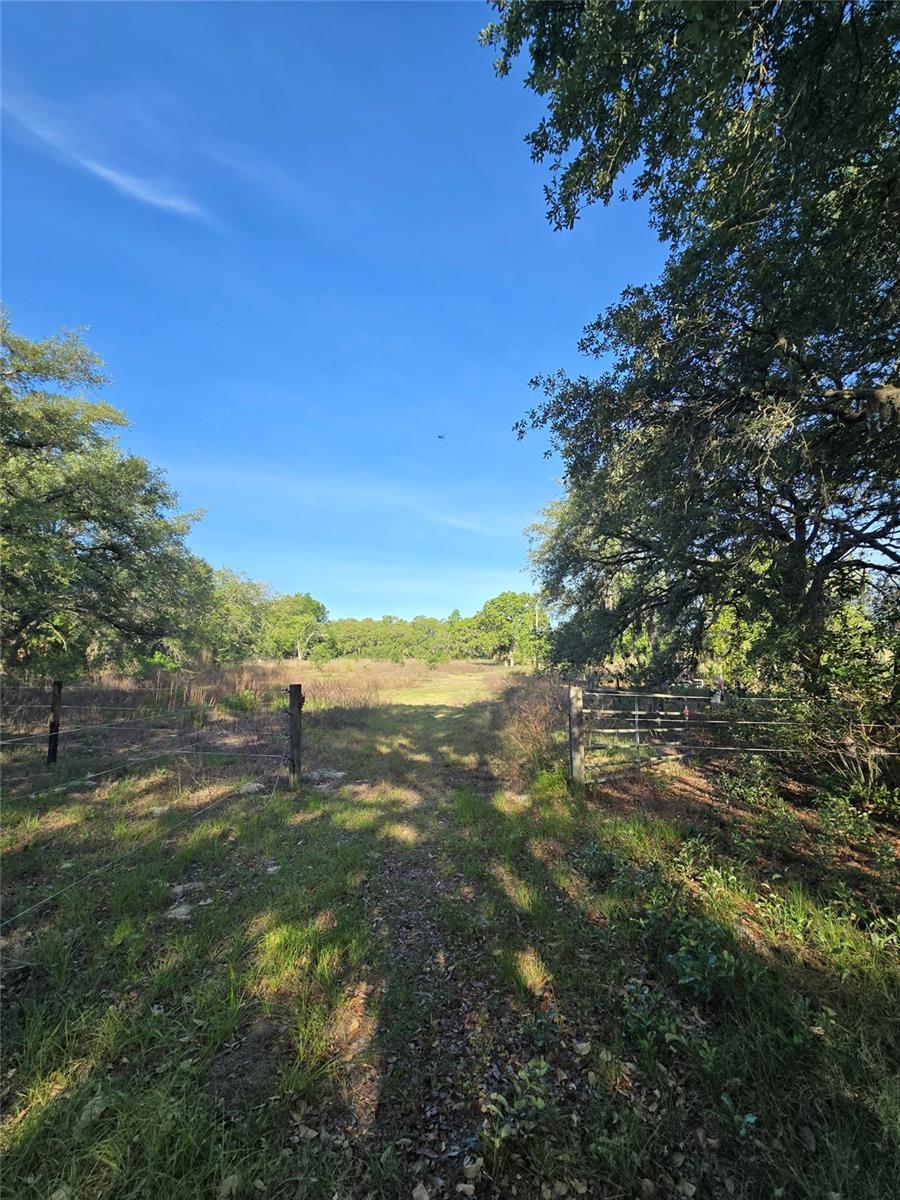 14515 Giddyup Lane, FL