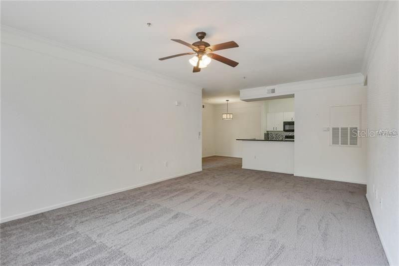 17114 Carrington Park Drive, FL