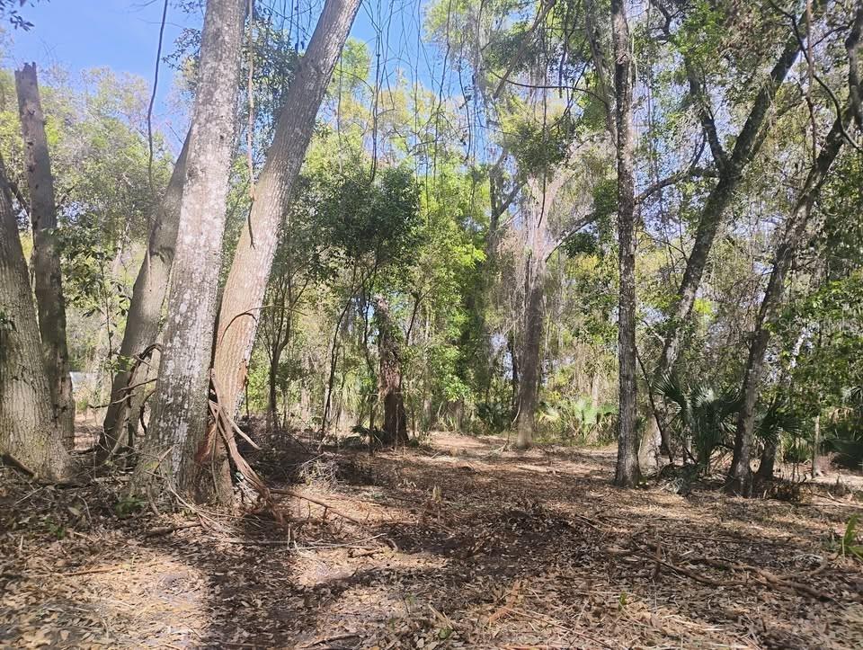 Spring Garden Ranch, FL