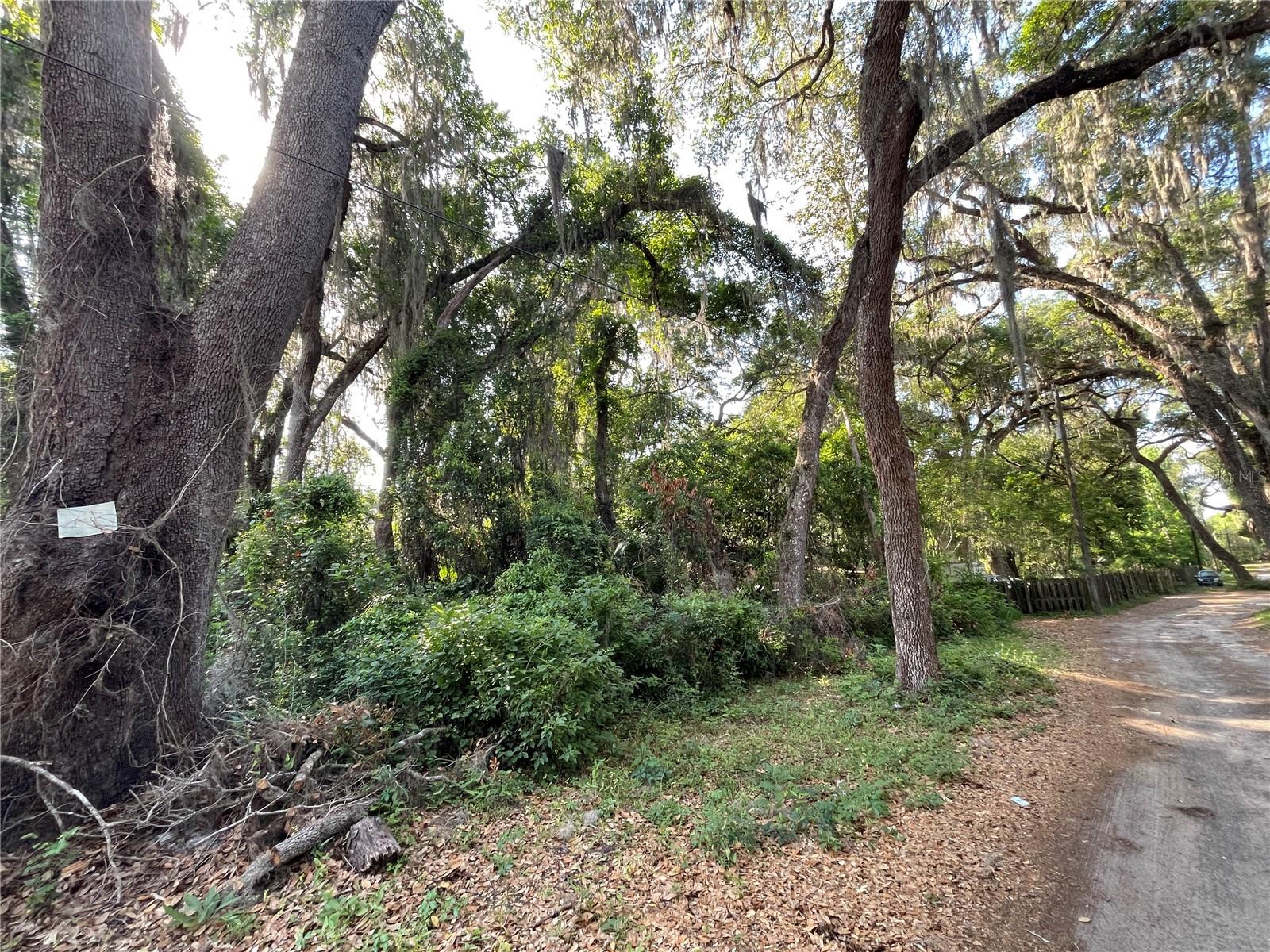 Ne 37th Ct, FL