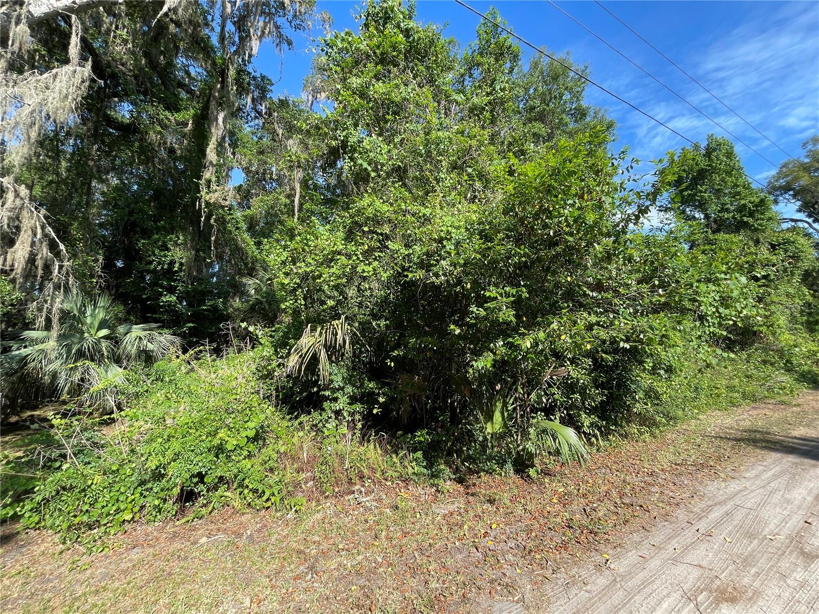 Ne 37th Ter, FL