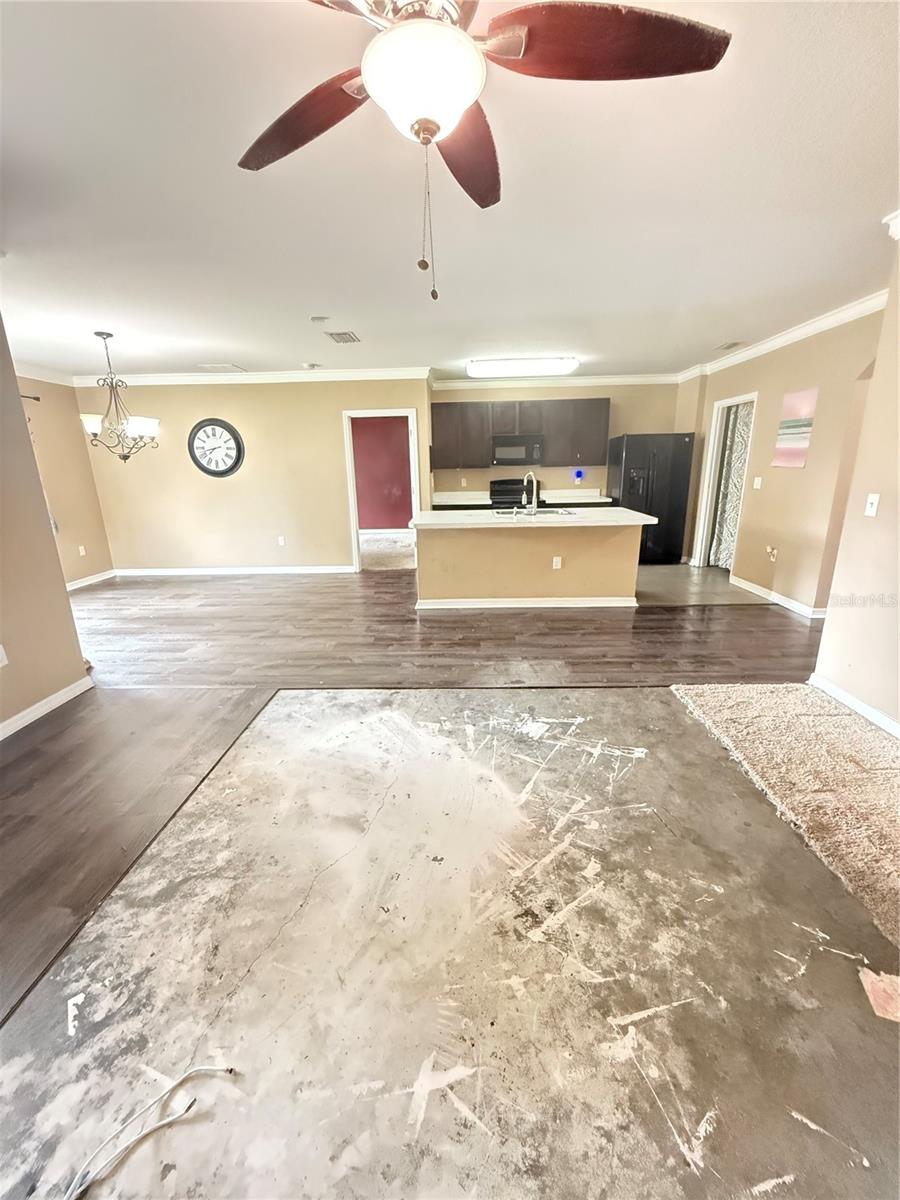 3838 Crossline Drive, FL