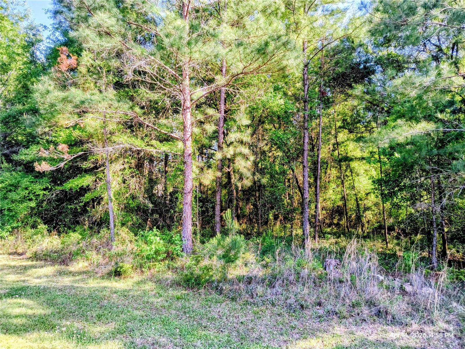 Tbd 142nd Street, FL