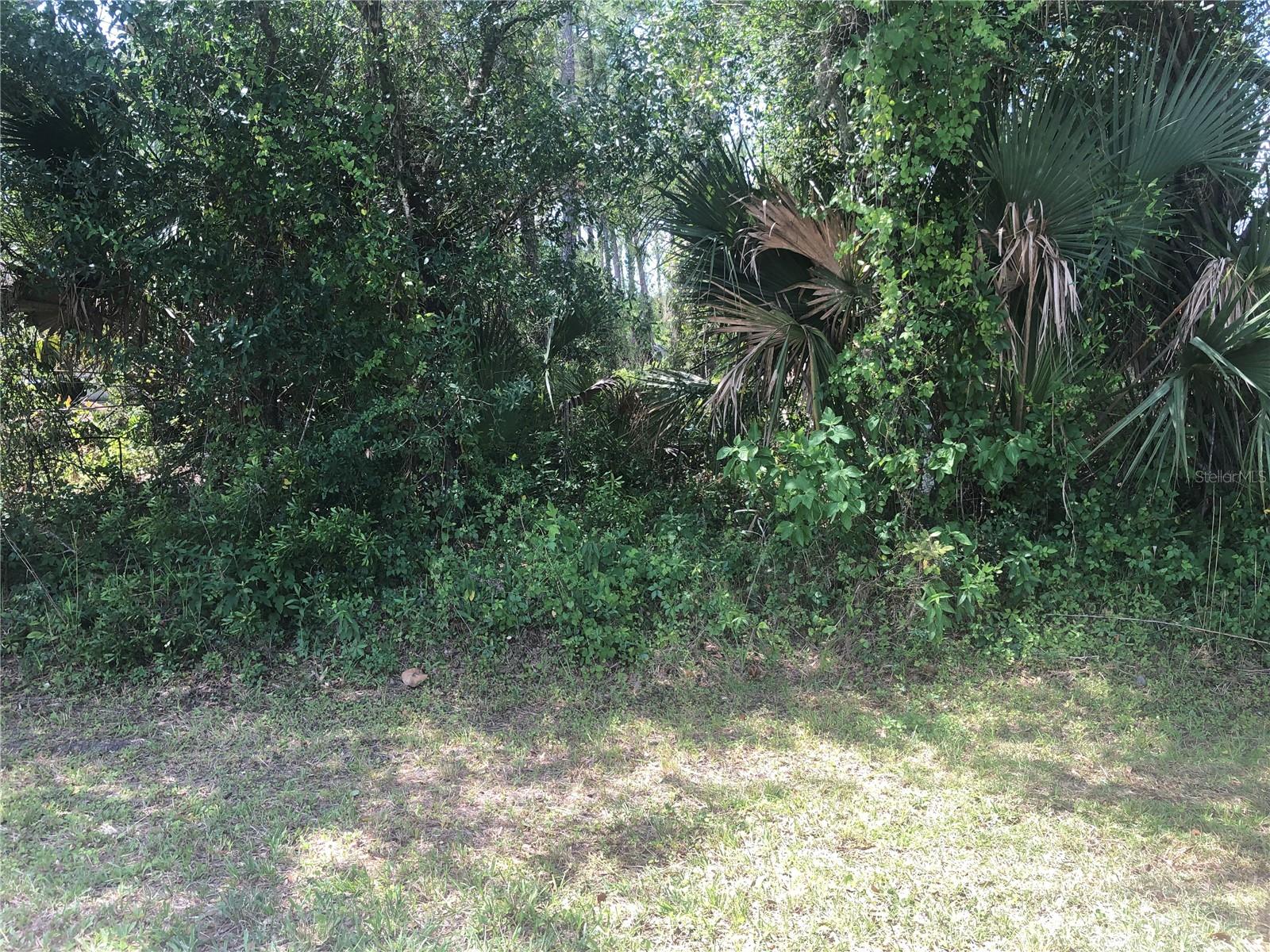 Charland Ave, FL