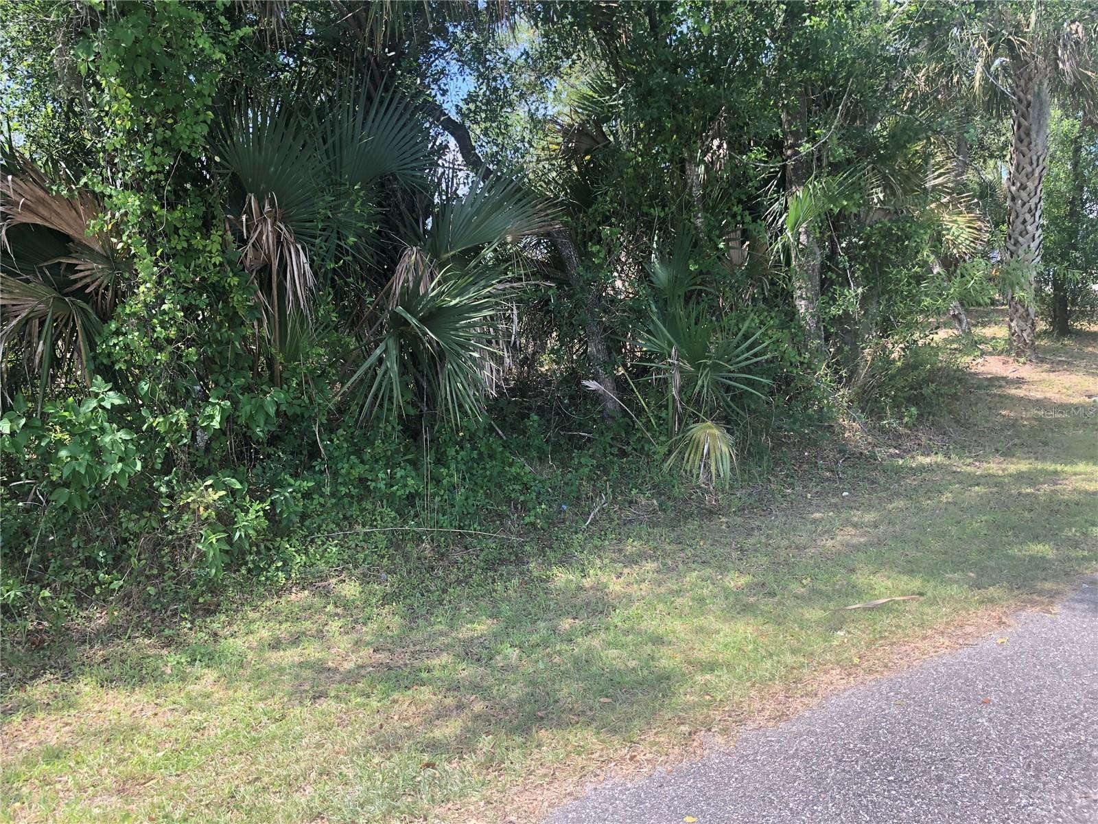 Charland Avenue, FL