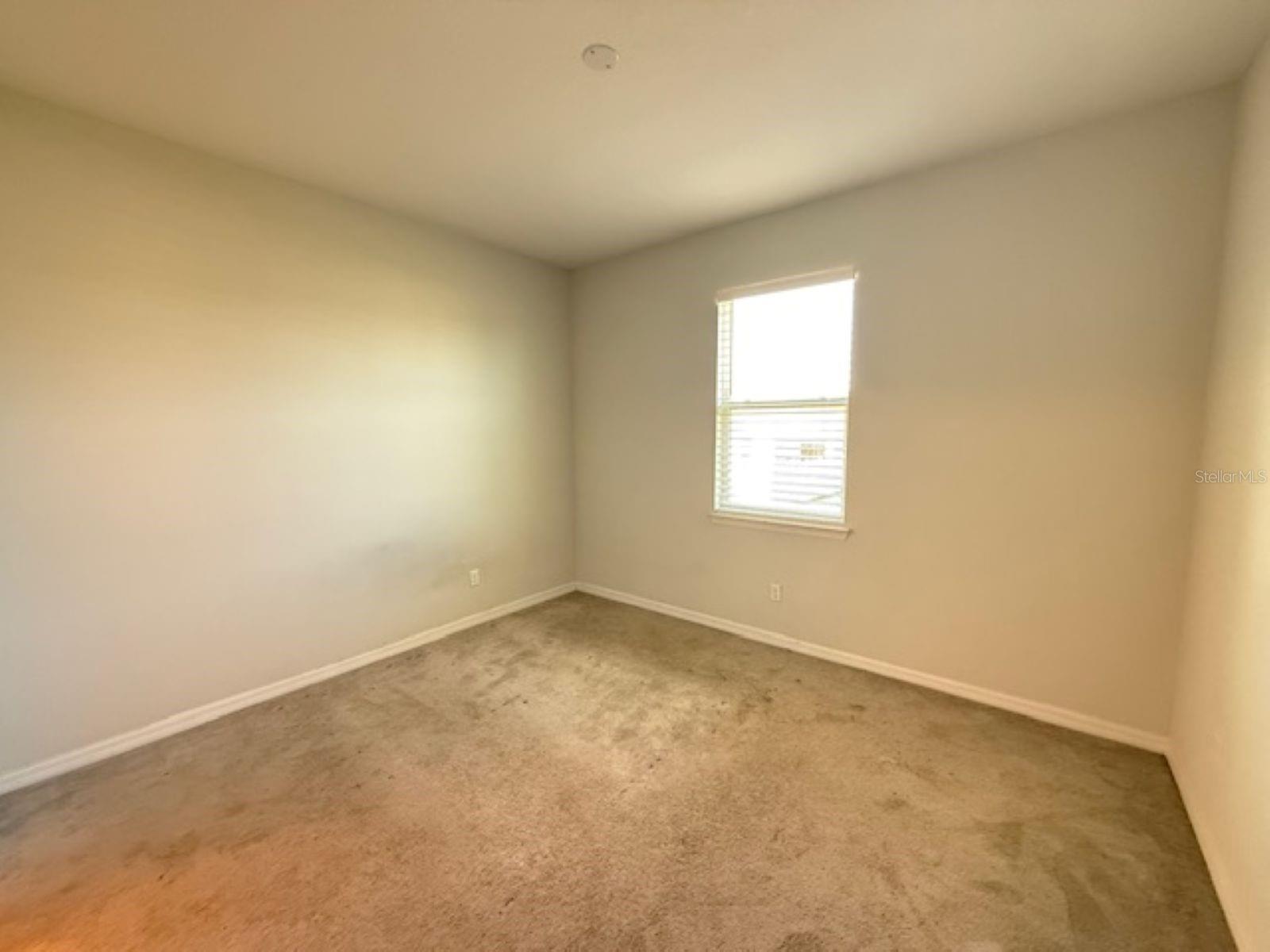 3550 Forster Avenue, FL