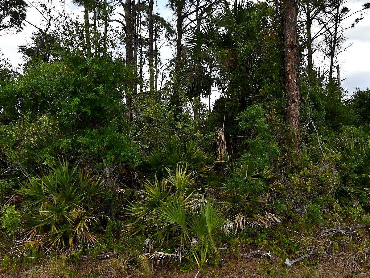 Geloso Ave, FL