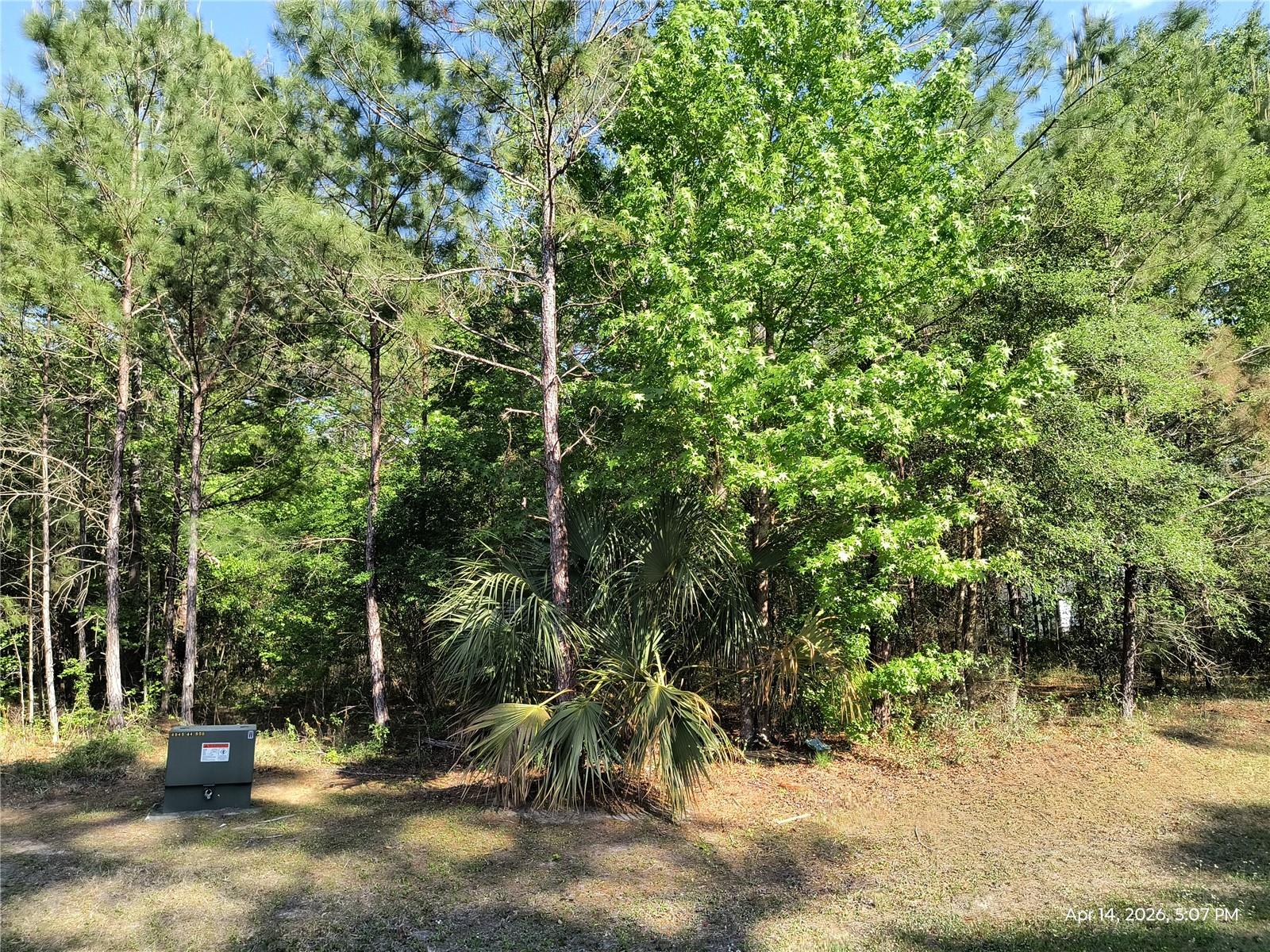 Tbd Nw 141st Ave, FL