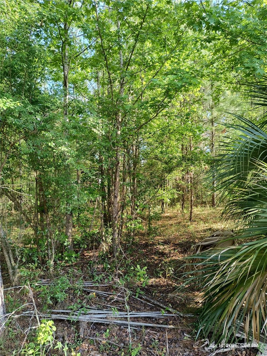 Tbd 141st Avenue, FL