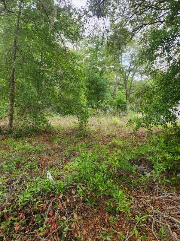 00 Marion Oaks Pass, FL