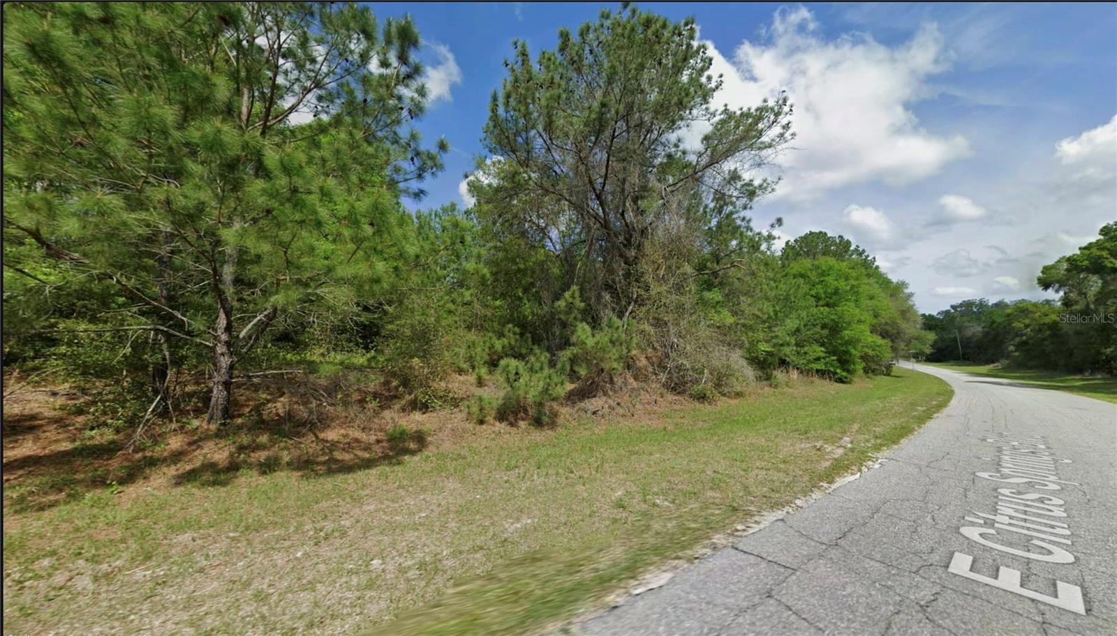 325 E Citrus Springs Blvd, FL