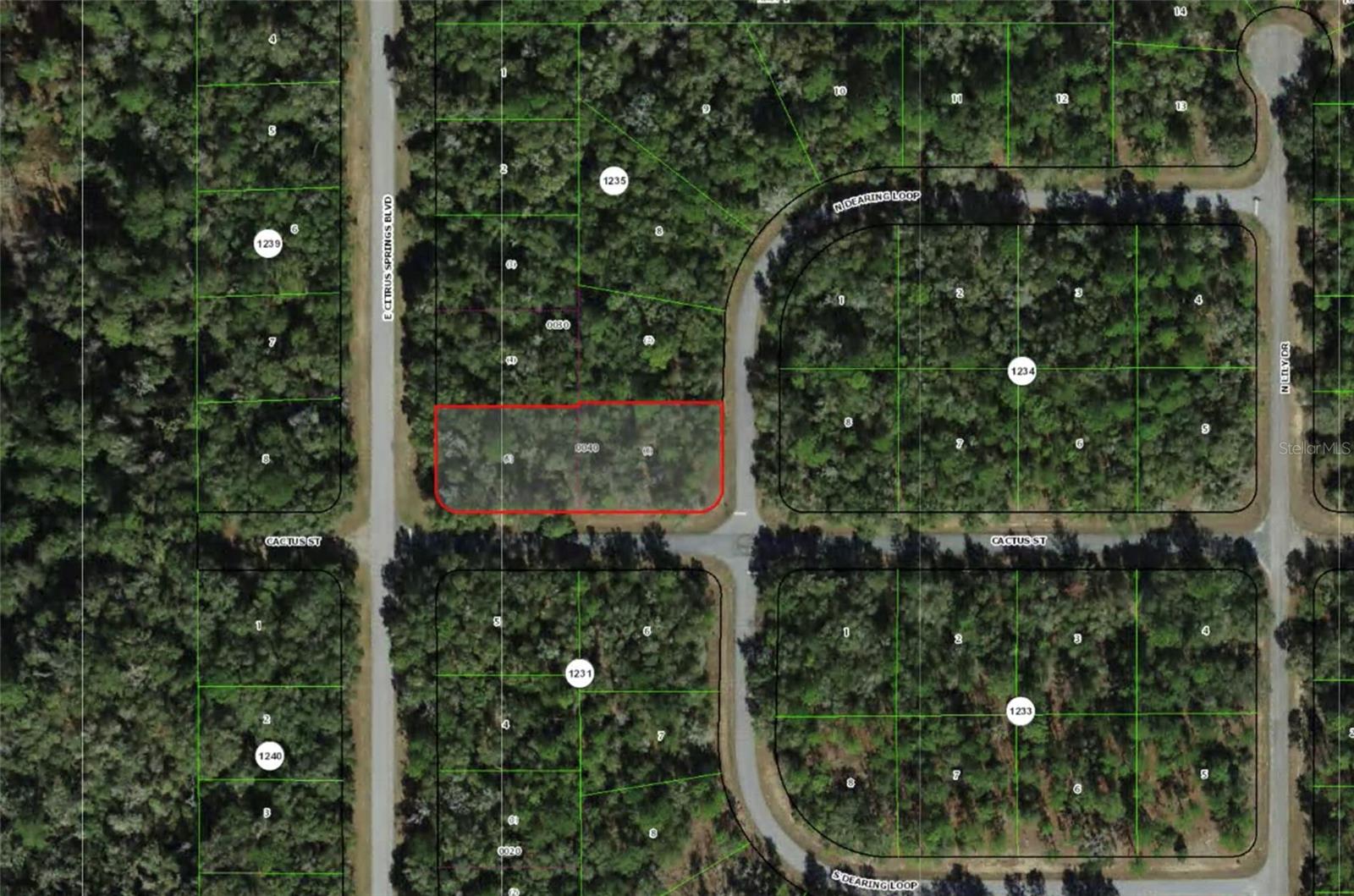 2054 E Citrus Springs Blvd, FL