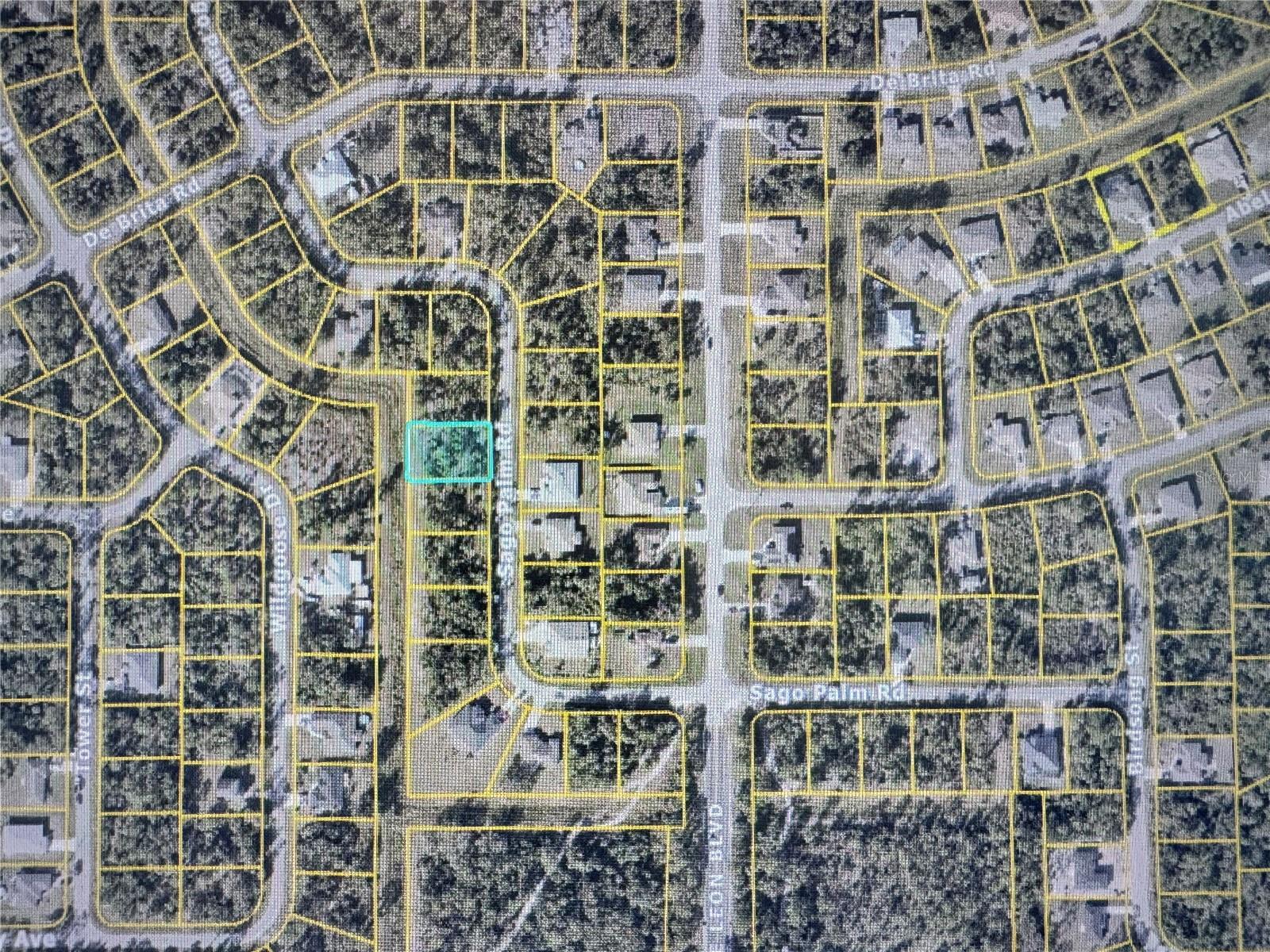 Sago Palm Rd, FL