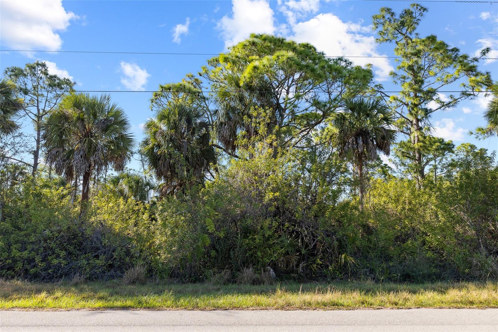 425 Cheshire St, FL