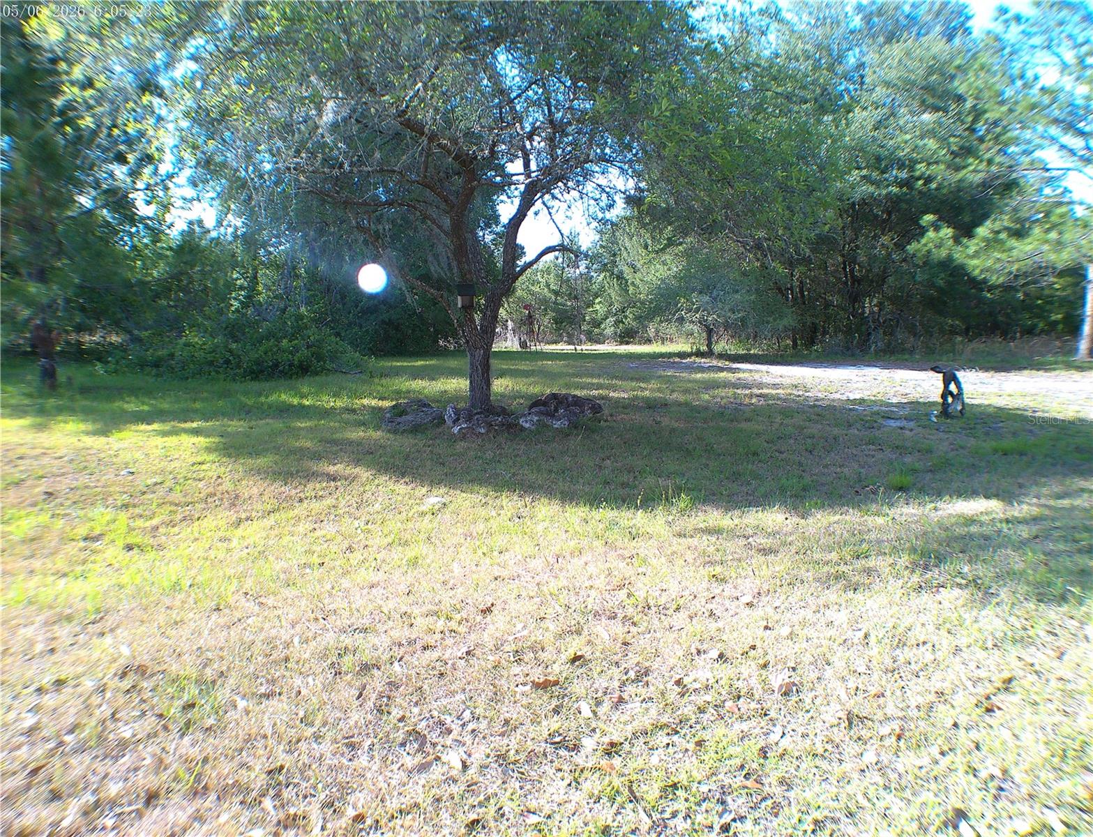 Sequoia Drive Trce, FL