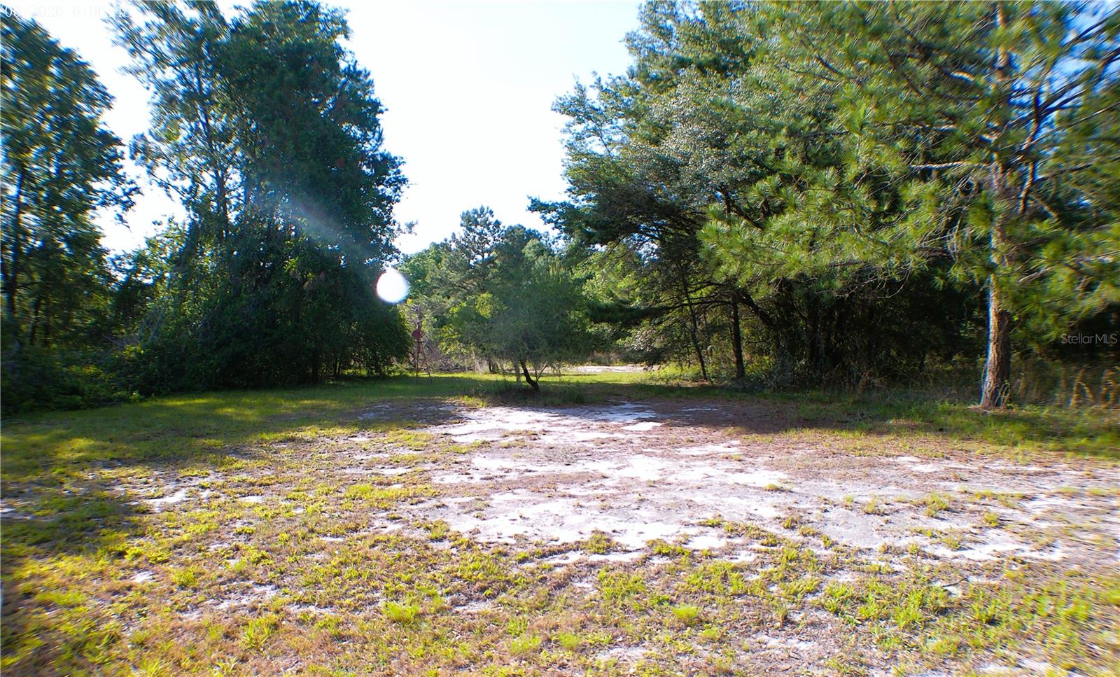 Sequoia Drive Trace, FL