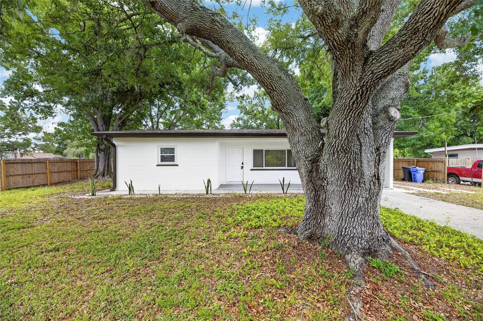 204 7th Avenue, FL