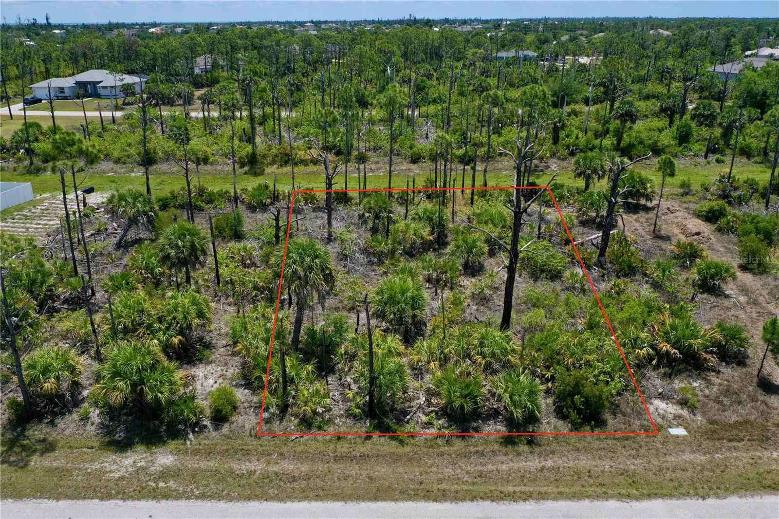 8228 Leafy Way, FL