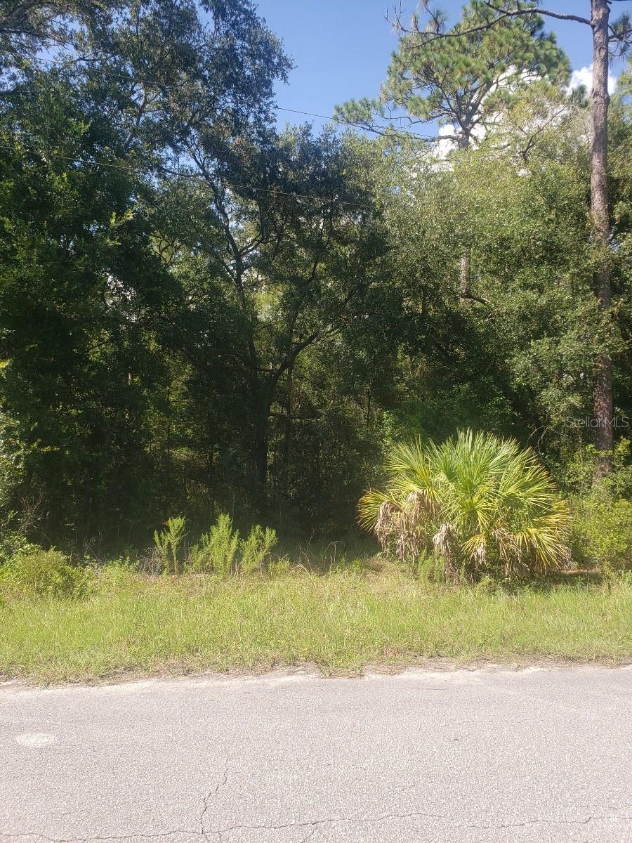 2949 W Grapevine Ct, FL