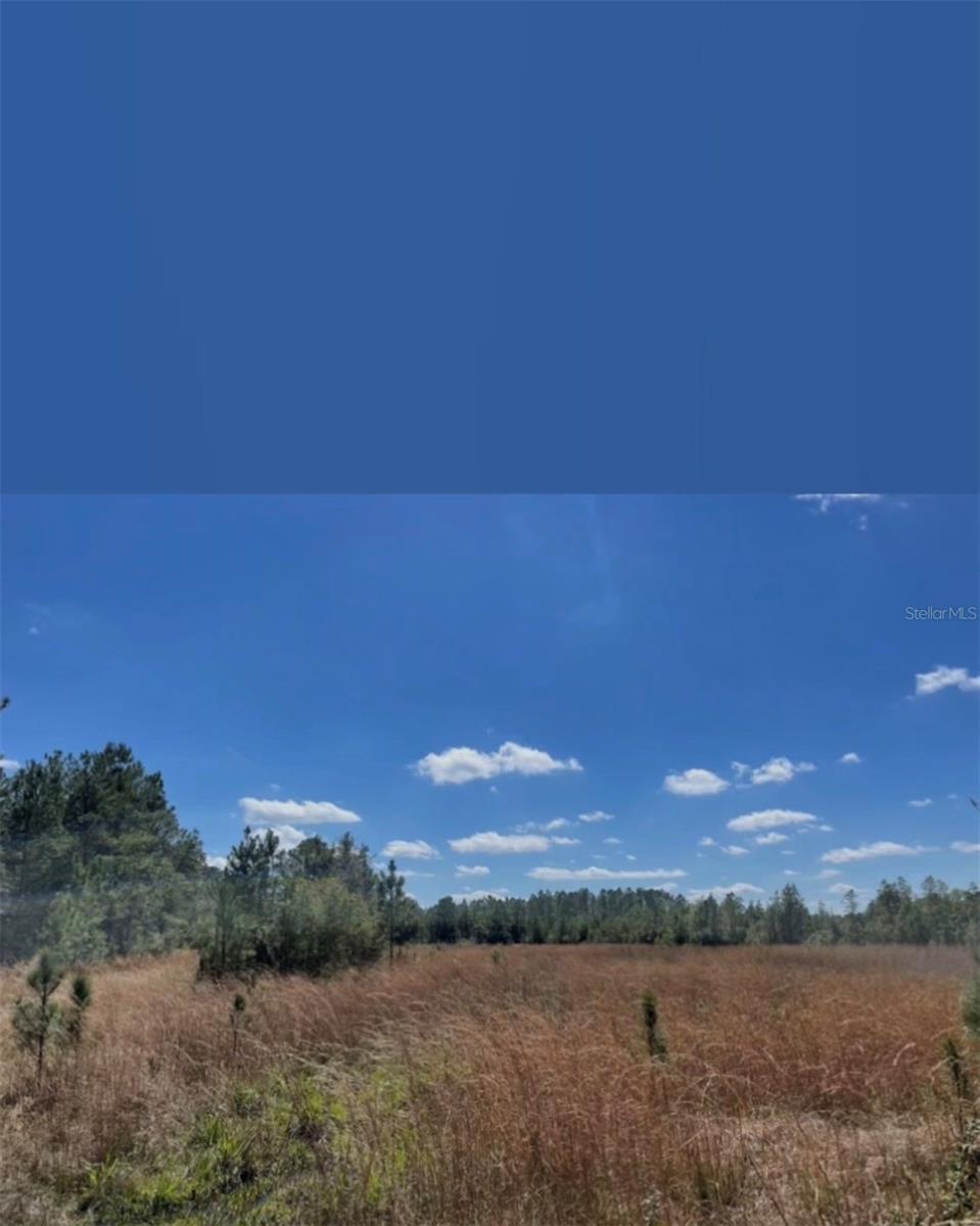 Ne 124th Ter, FL