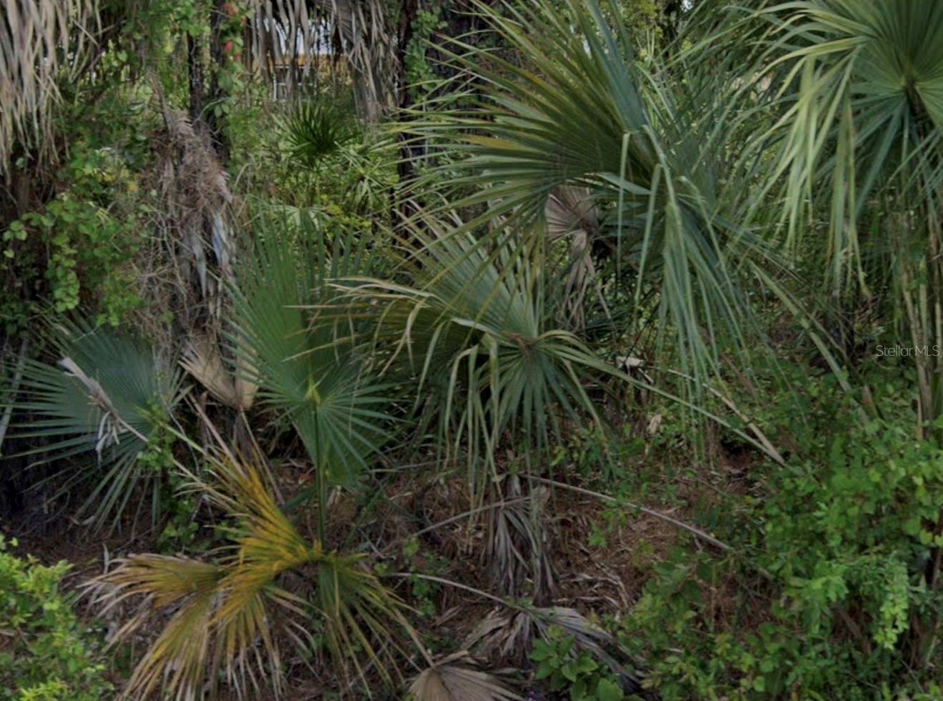7879 Grafton Rd, FL