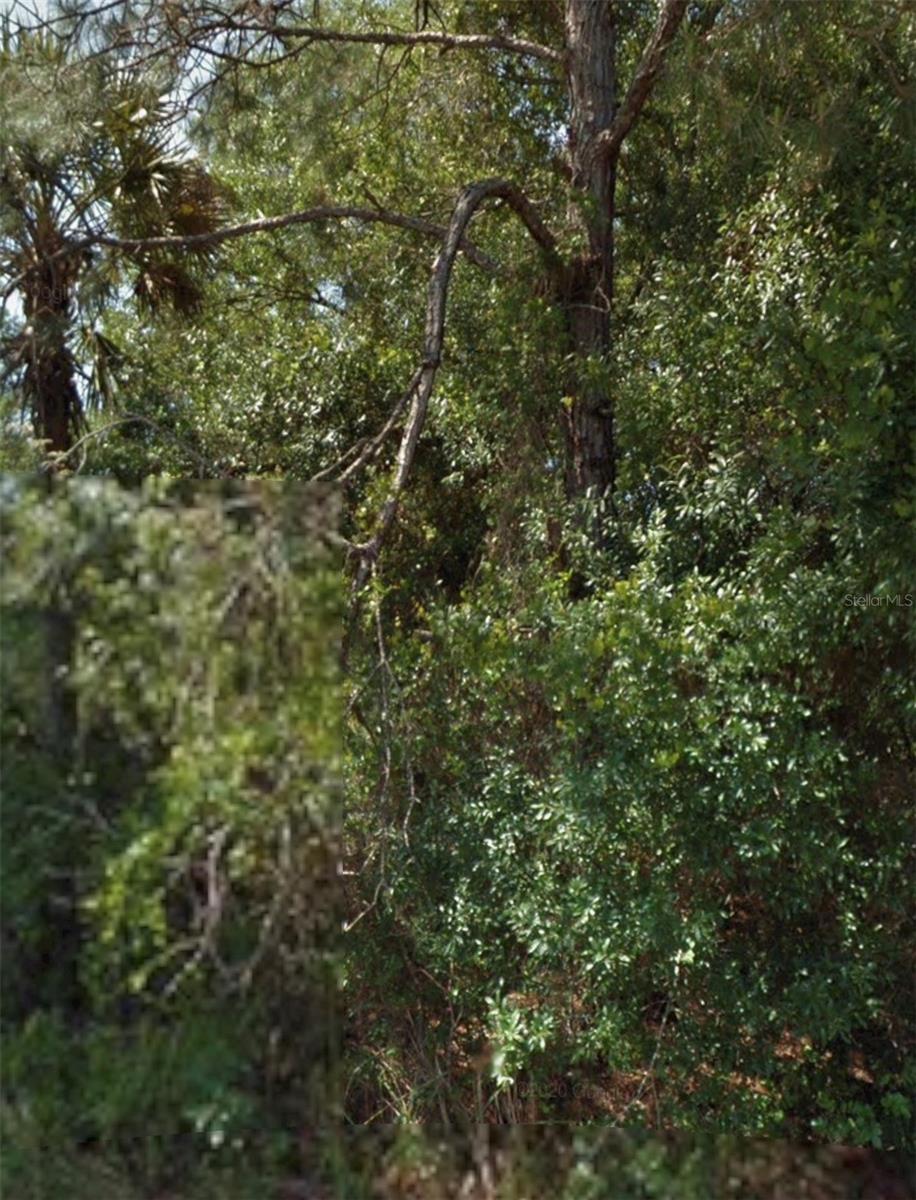 Ohio Rd, FL
