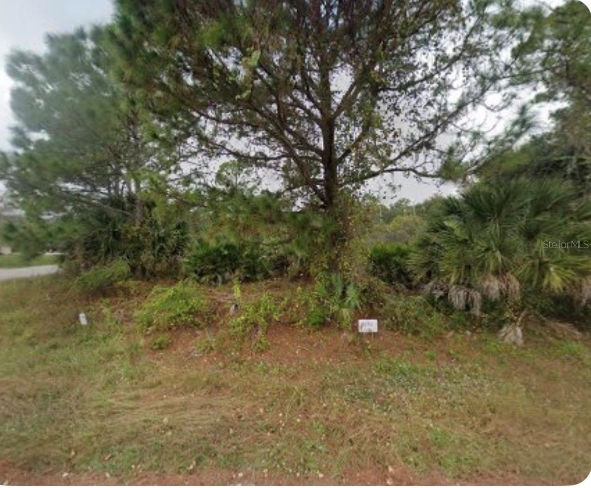 4804 Hader Rd, FL