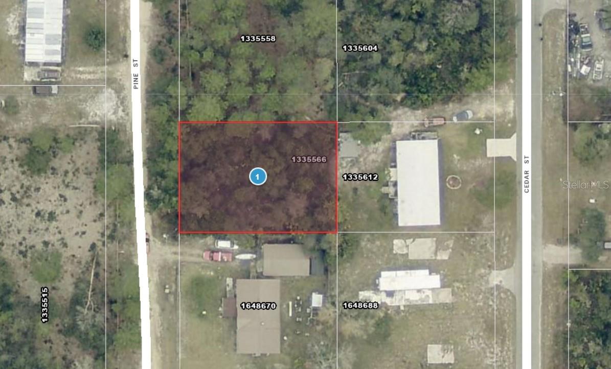14-17-28-0200-009-01400 Pine St, FL