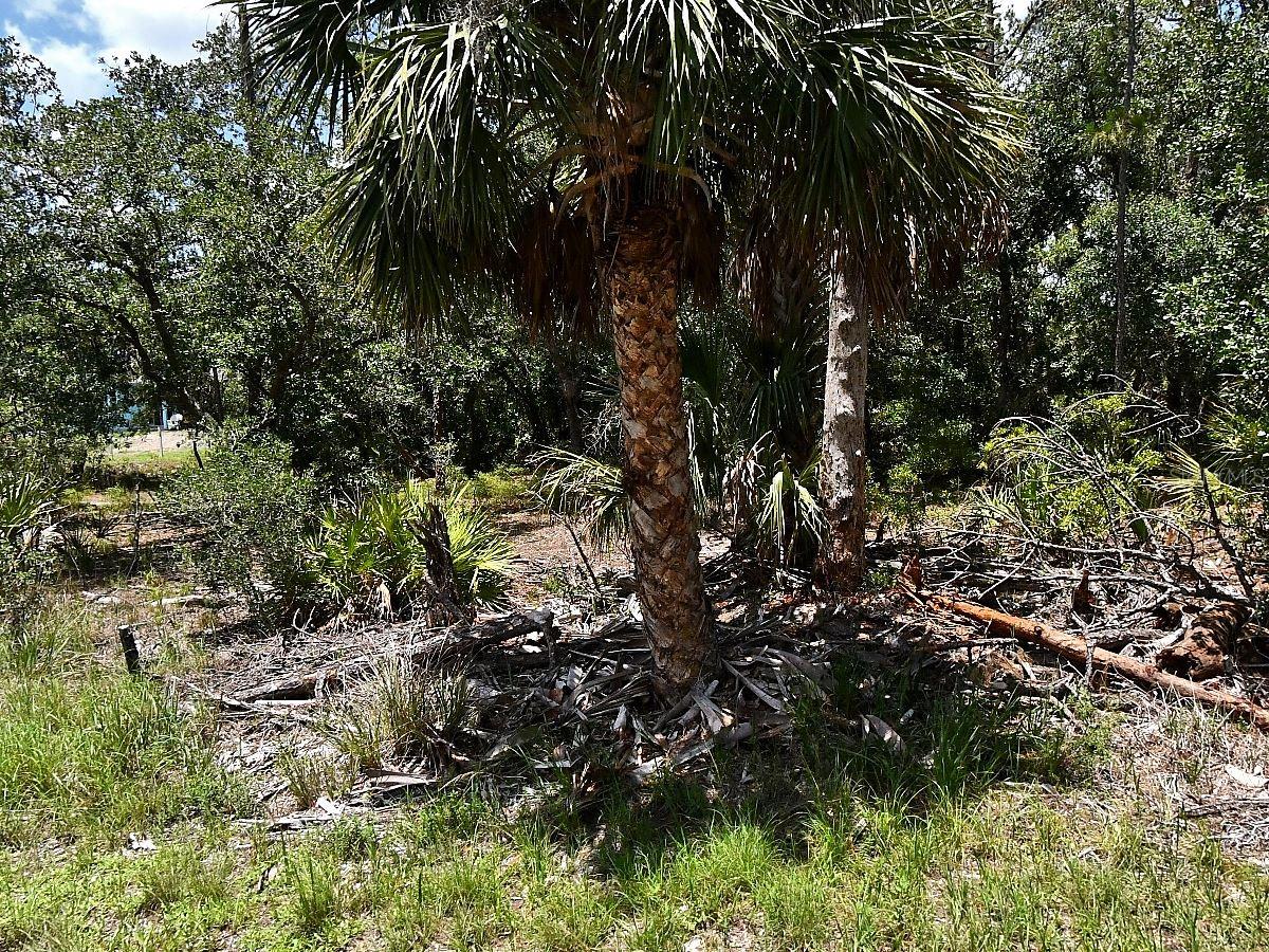 Hawksbill Ave, FL