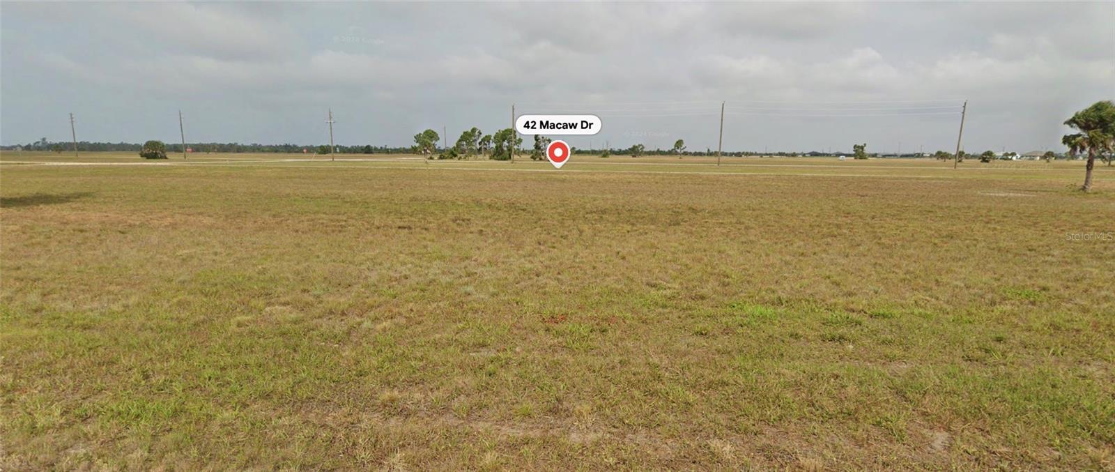 42 Macaw Dr, FL