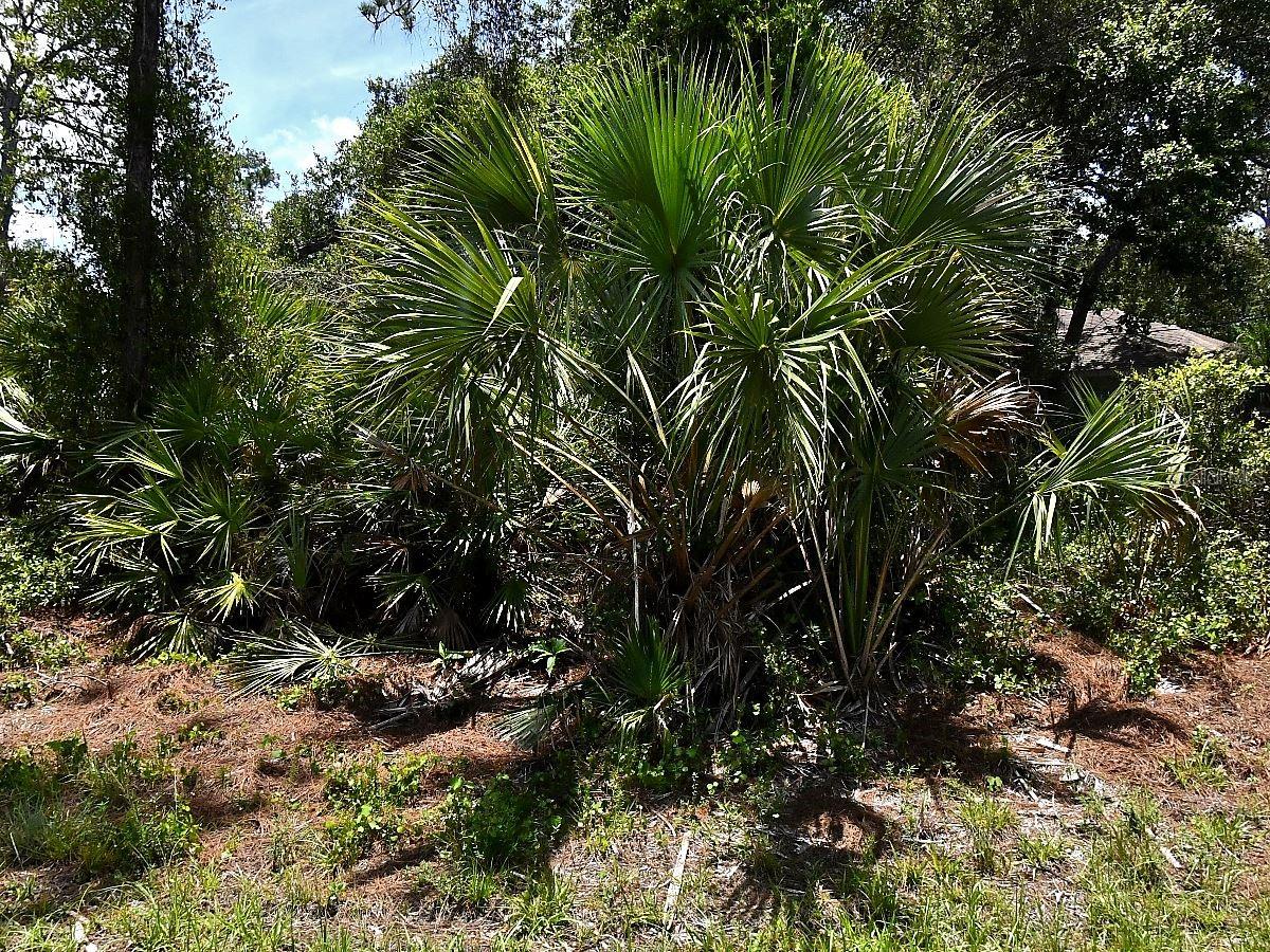 Van Eck Rd, FL