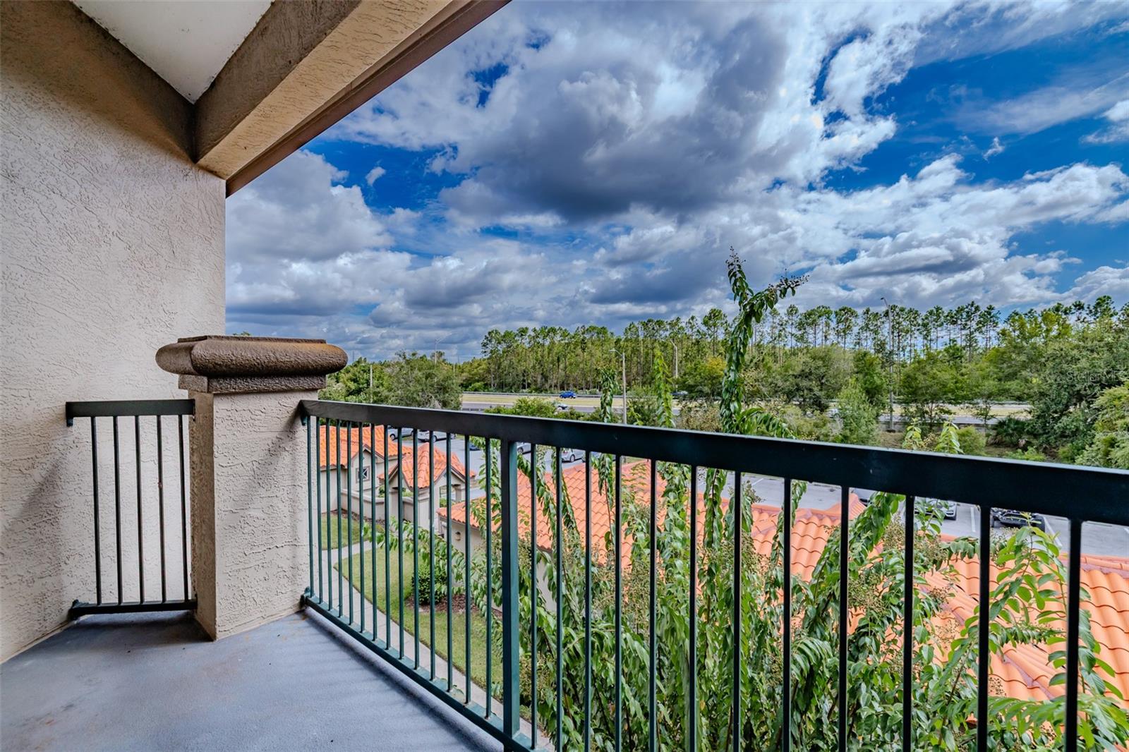 4201 Woodstorks Walk Way, FL