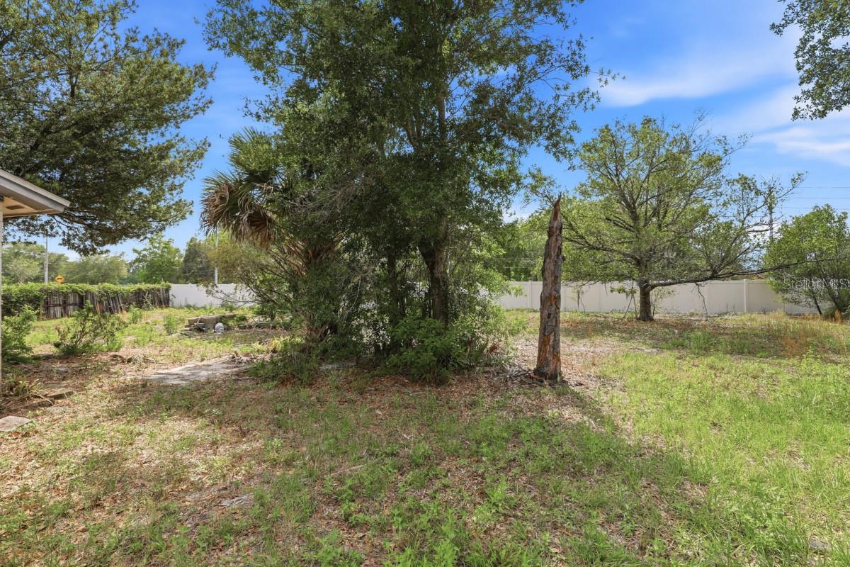 1008 Vigo Avenue, FL