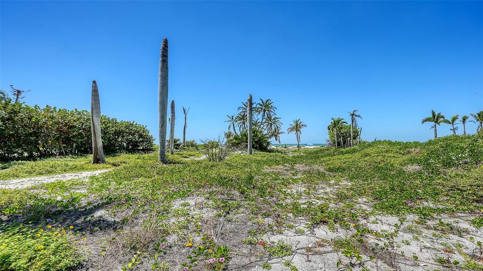 6441 Gulfside Road, FL