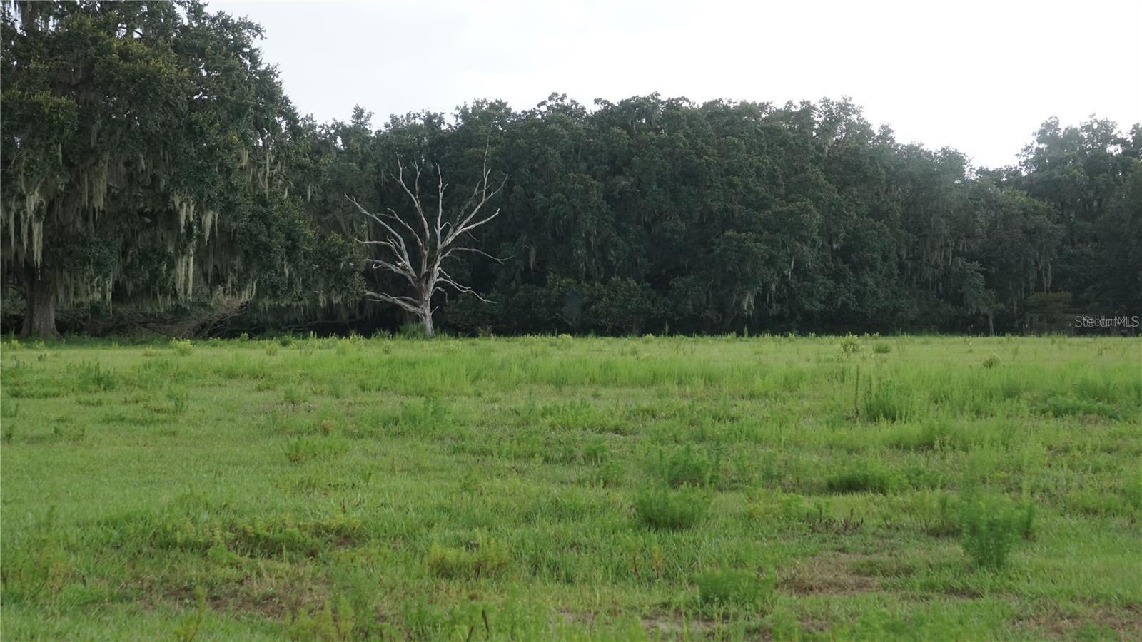 Durant Rd, FL