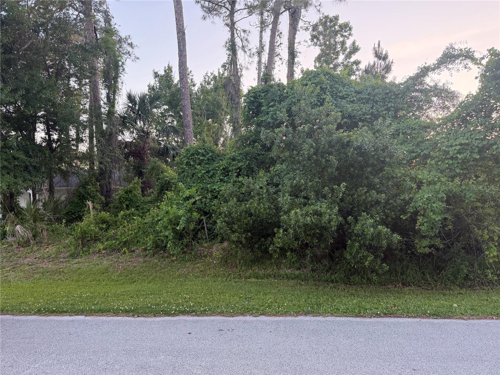 41 Woodlyn Ln, FL