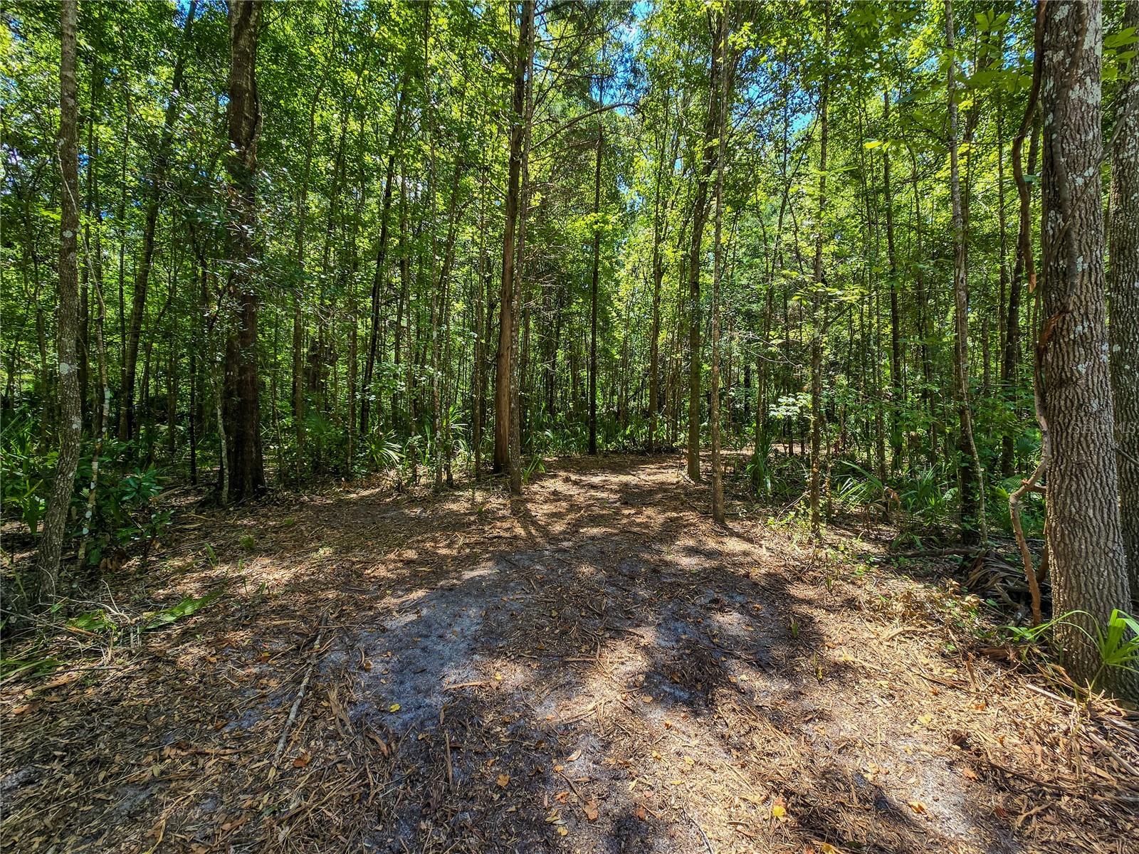 2381 N Jennifer Ter, FL
