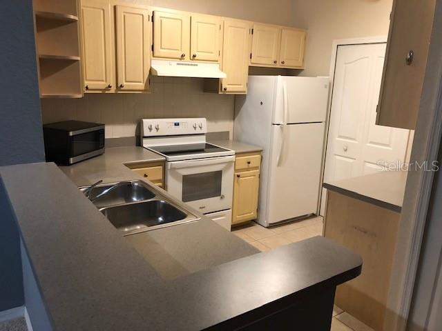 1175 Lake Shadow Circle, FL