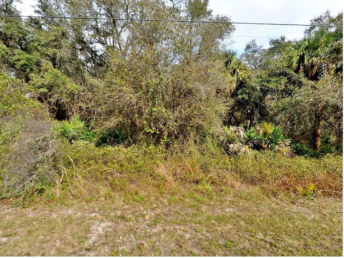 Fling Ave., FL