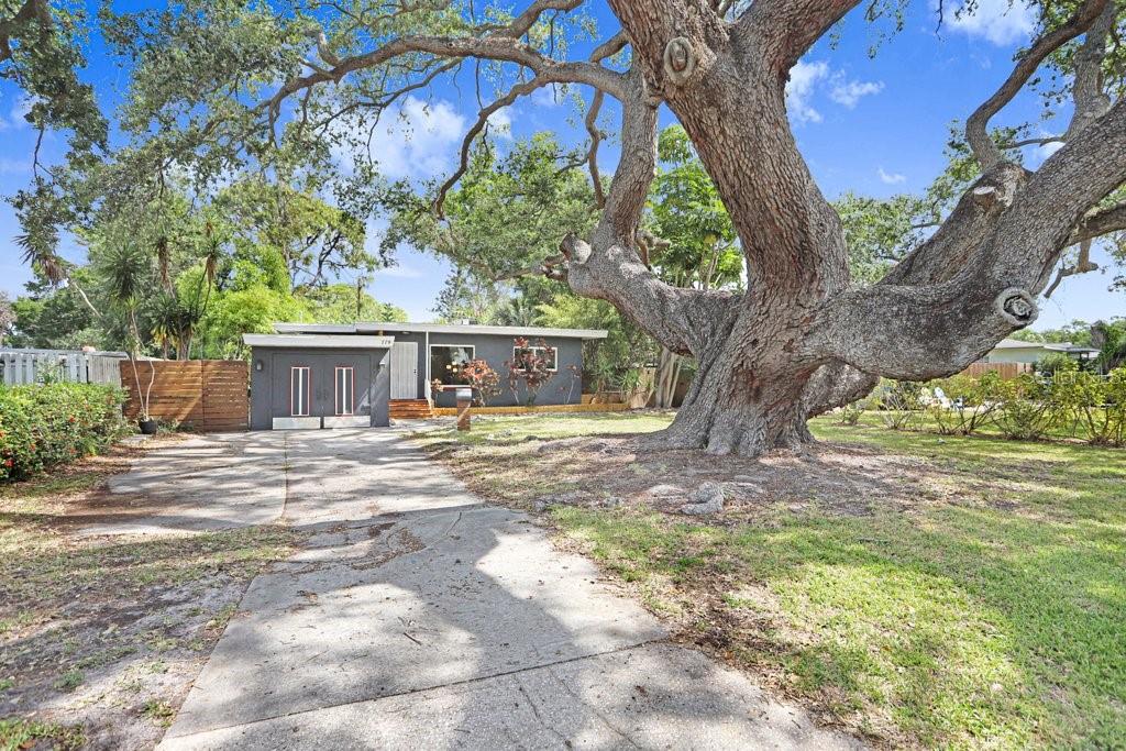 779 Bayou Blvd S, FL