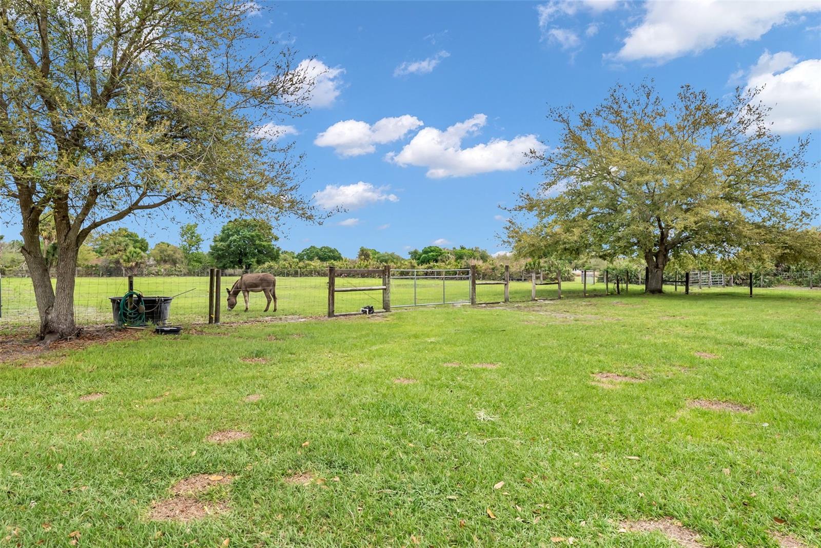 17255 272nd Street, FL