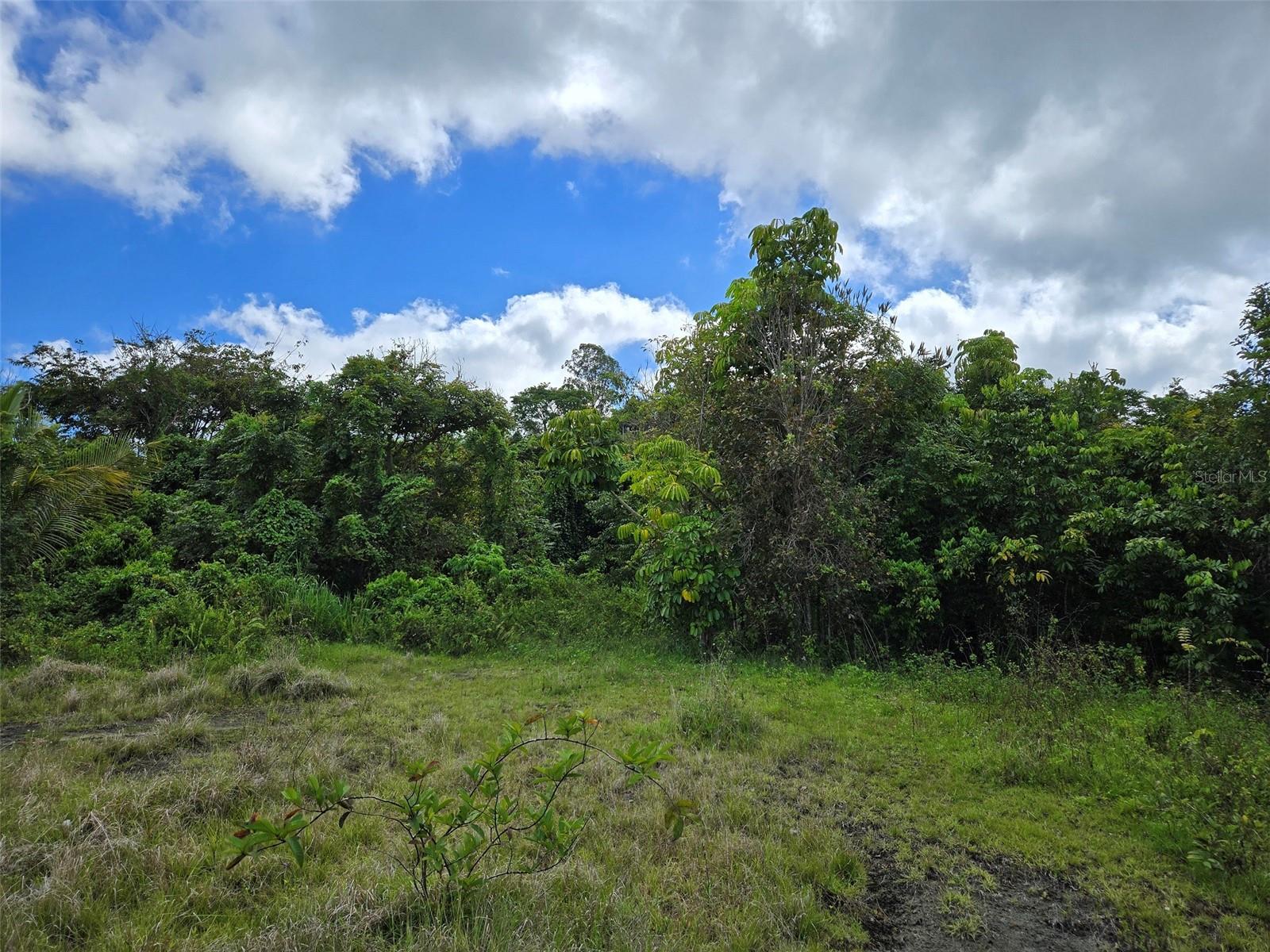Pr 7718 Km 4.1 Pasto Ward, PR