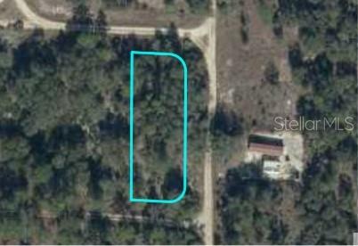 Ne 134th Terrace, FL