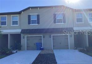 17522 Nectar Flume Drive, FL