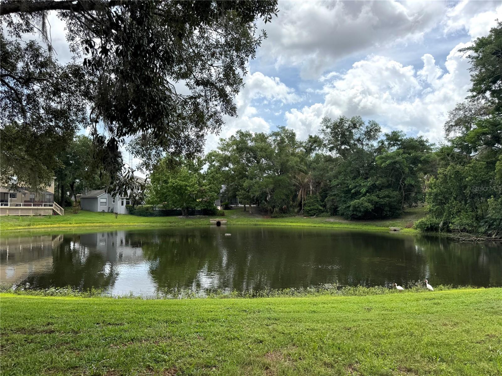 1043 Bucksaw Place, FL